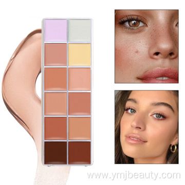 Private Label Concealer Pallete Makeup